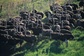 Bild: Kleine Karoo