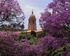 Bild: Pretoria