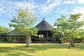 Bild: Mopane Bush Lodge