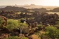Bild: Mowani Mountain Camp