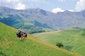 Bild: Drakensberge
