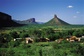 Bild: Limpopo Region