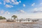 Bild: Etosha-Nationalpark