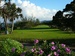 Bild: Golf: Southbroom Golf Club