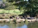 Bild: Golf: Sabi River Sun Bungalows Country Club