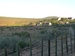Bild: Addo Rest Camp