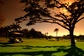 Bild: Golf: Selborne Country Club