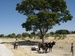 Bild: Kommunales Farmland