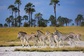 Bild: Makgadikgadi-Salzpfannen